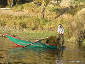 Fisherman on the Nile